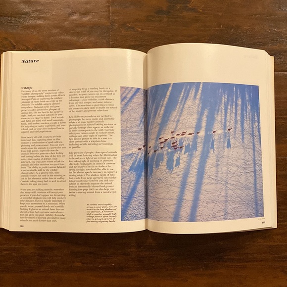 The New Joy of Photography: Tools And Techniques Of Better Photography - Picture 7 of 7